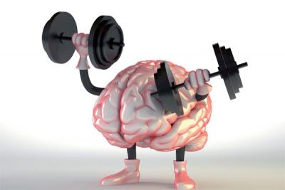 muscle-cerveau